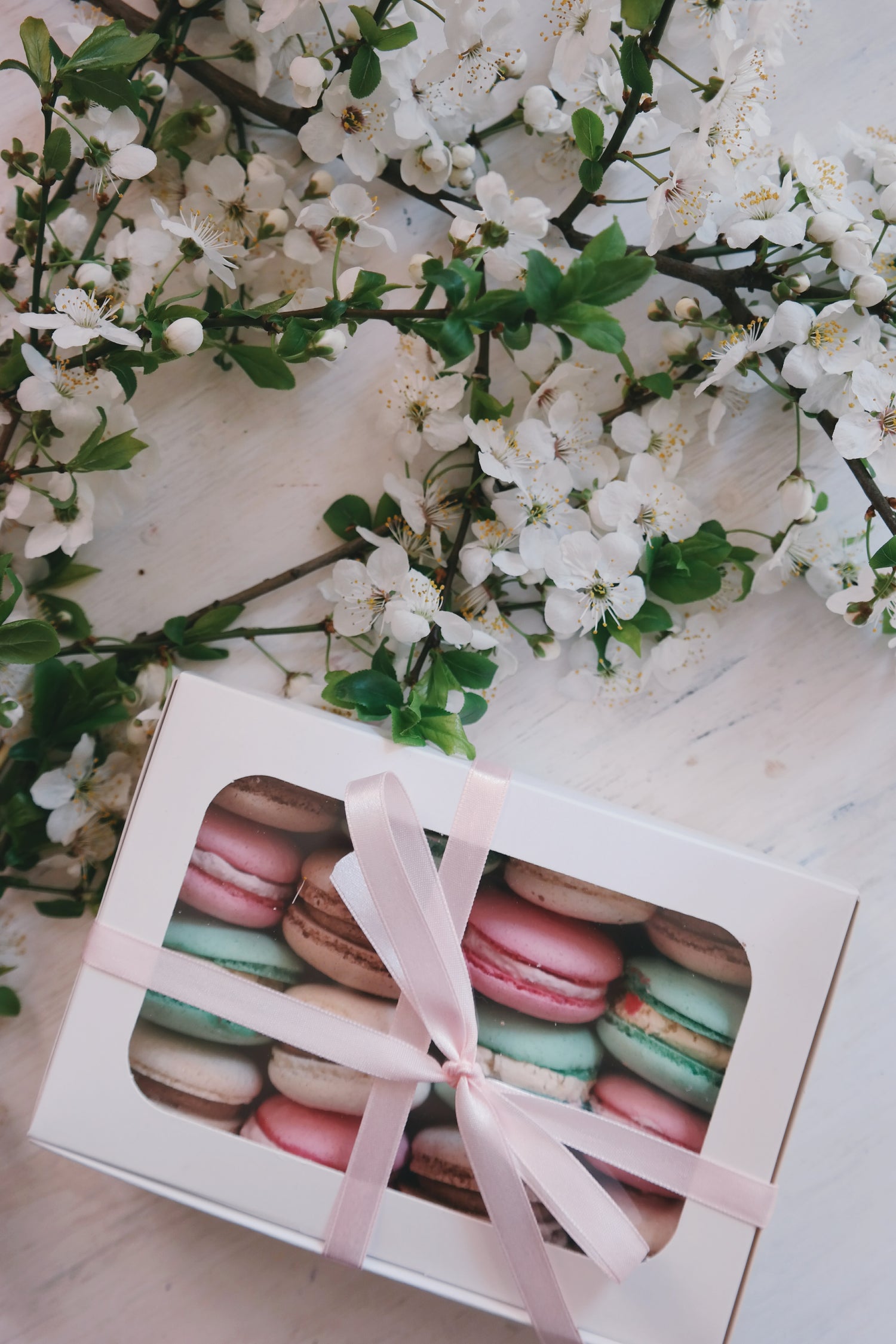 Light Pink Bakery Box with window